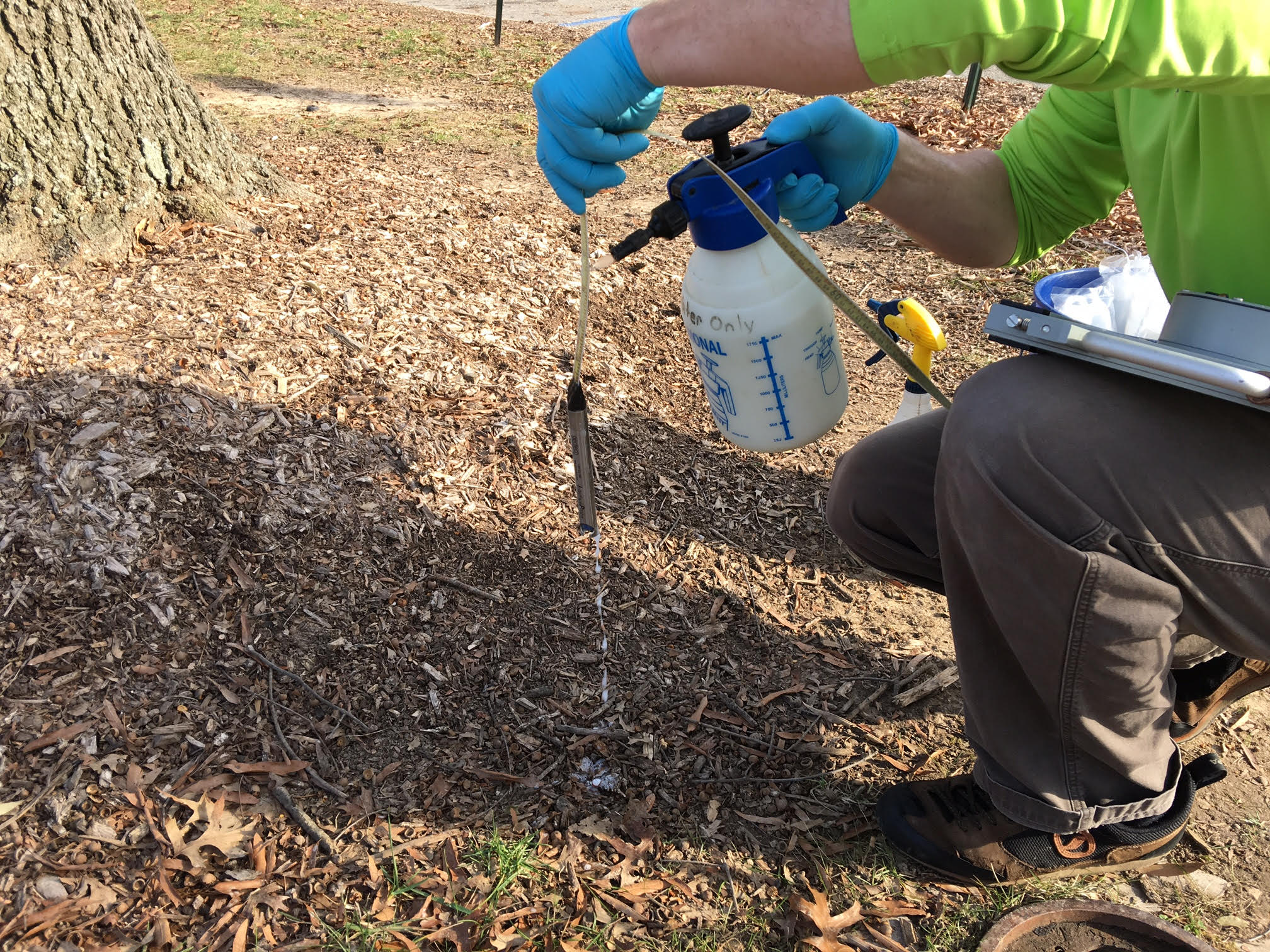 Decontamination of Water Level Probes