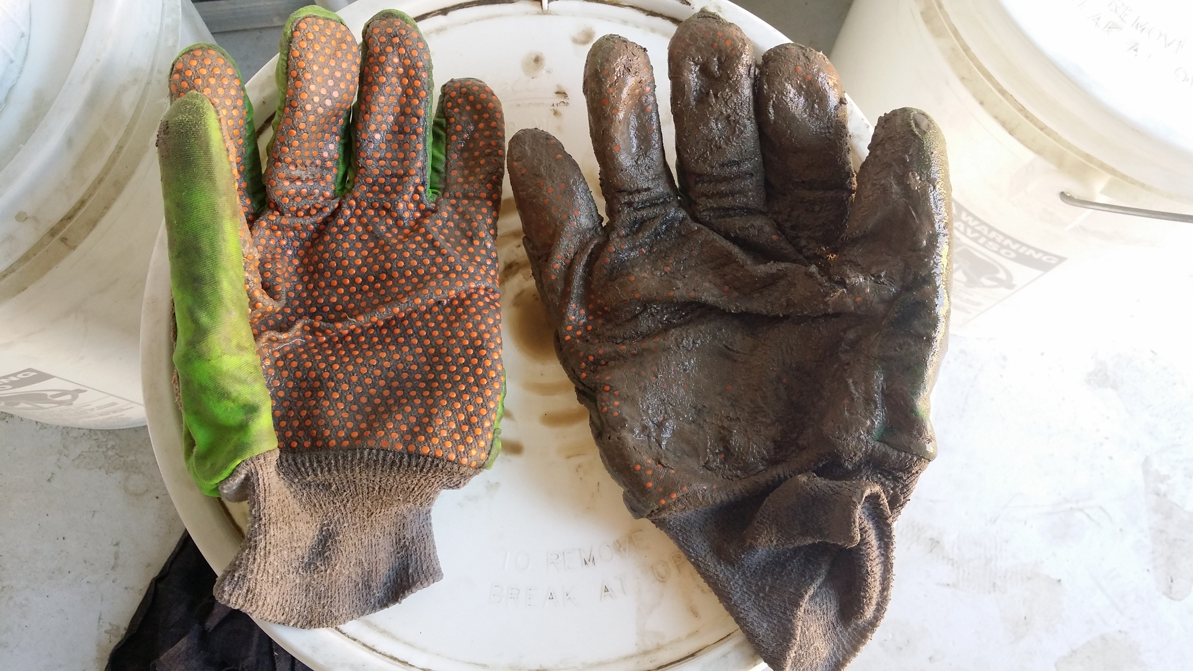 Decontamination of Oil Rig Gloves